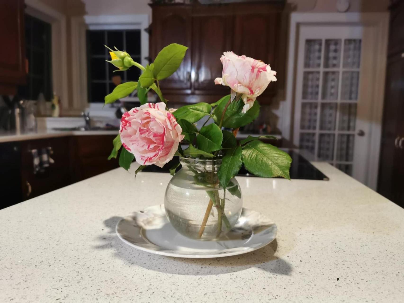 דירות שרלוט טאון Diana'S Beauty House מראה חיצוני תמונה